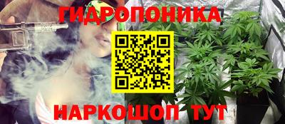 мяу мяу мука Ливны