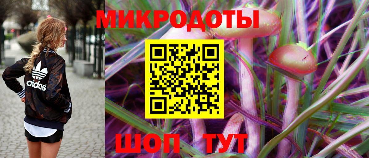 Галлюциногенные грибы Psilocybine cubensis Воскресенск