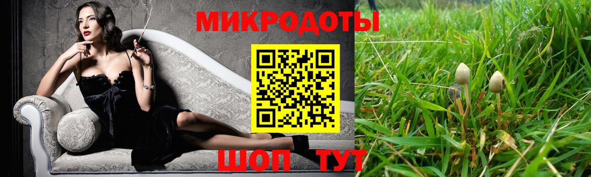 Галлюциногенные грибы Psilocybe  Вход с VPN  Воскресенск  Галлюциногенные грибы мицелий 